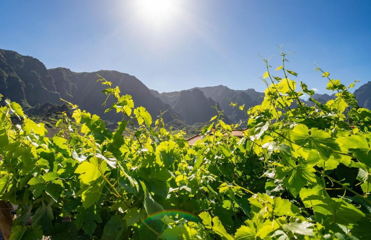 São Vicente Quinta Vale Vitis 빌라 외부 사진
