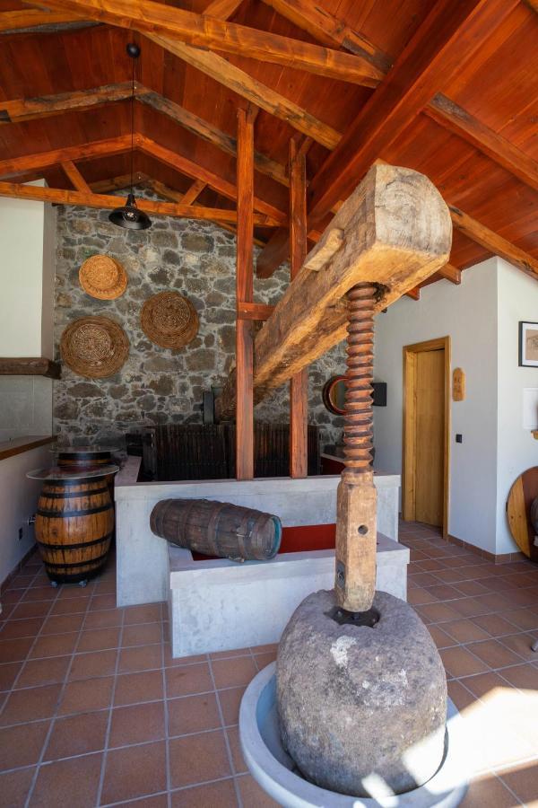 São Vicente Quinta Vale Vitis 빌라 외부 사진